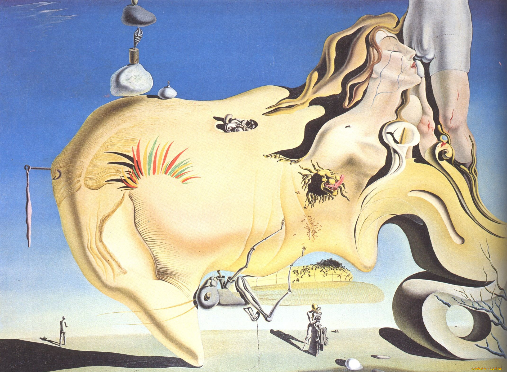 salvador, dali, 